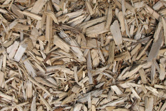 biomass boilers Naburn